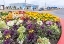 Nuevos espacios verdes en la zona Sur de Río Grande