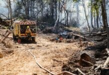Se encuentra oficialmente extinguido el incendio en la zona del Río Lainez