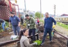 Realizan plantaciones de arboles autóctonos en Ushuaia