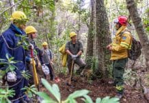 11 vecinos buscan ser combatientes de incendios forestales