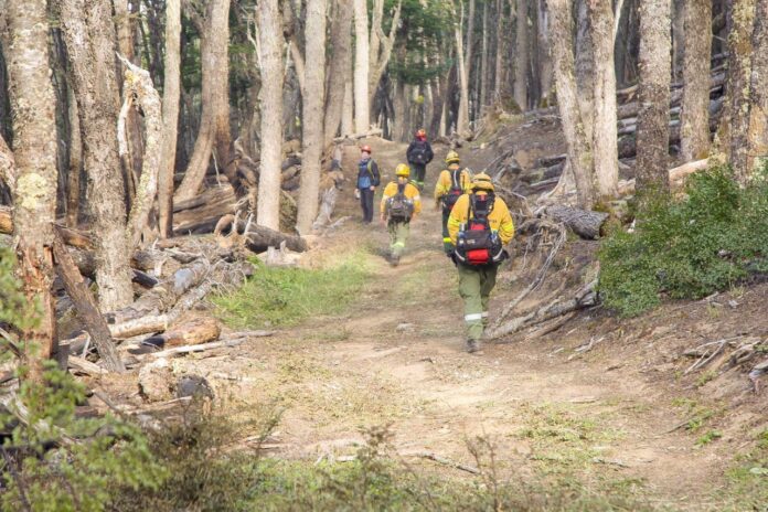 photo_4981237653710154680_y