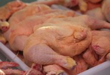 El kilo de pollo en Río Grande ya llega a los $1200