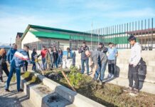 Concluyó la etapa inicial de “Mi Primer Arbolito”