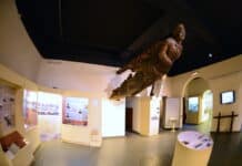 Habrá visitas guiadas en el Museo del Fin del Mundo