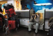 Von Der Thusen pidió que Aerolíneas programe más vuelos para Tierra del Fuego