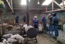 El productor Daniel Parún no podrá acercarse al matadero municipal por 30 días