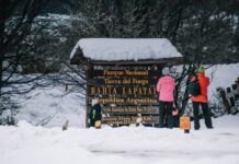 Se confirmó el PreViaje 5: ¿cómo obtener los reintegros?