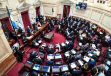 El Senado aprobó la nueva Ley de Alquileres con cambios y volverá a la Cámara de Diputados