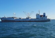 Prefectura inició un sumario a un buque extranjero por operar en Malvinas