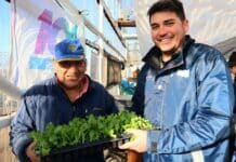 Se realizó la primera entrega de plantines a inscriptos en el Programa Municipal “RGA Productiva”