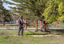 Comenzaron los trabajos de embellecimiento en Río Grande