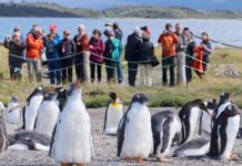 Casi 80 mil turistas visitaron Ushuaia durante la temporada invernal