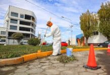 Continúa el embellecimiento de los espacios públicos
