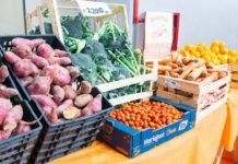 “Tu mercado TDF” estará este fin de semana en Río Grande