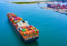 La ignorancia de las políticas proteccionistas de los países más liberales que permiten su crecimiento