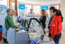 RGA alimentos se podrán conseguir en el paseo Canto del Viento