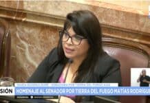 “Pido respeto por los hijos del Senador, la familia los compañeros y compañeras de Tierra del Fuego”