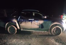 Cuidaba la casa de un pariente y vio cómo una mujer le robaba los muebles