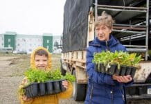 Comienza la entrega de plantines en Río Grande