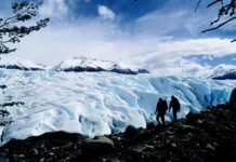 Exigen eliminar el “capítulo ambiental” de la Ley Ómnibus