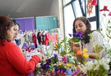 Se viene la Expo-Feria de Verano en Ushuaia