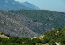 Los expertos prevén cada vez más fuego en la Patagonia