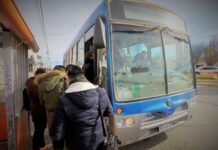 Motosierra al transporte: Milei le baja los subsidios a las empresas de colectivos