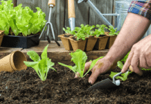 En Río Grande brindarán capacitaciones en oficios rurales