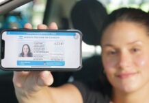 Por falta de insumos, no se imprimirán nuevas licencias de conducir en Ushuaia