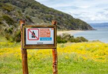 Alerta amarilla por incendios forestales