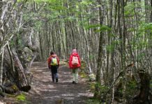 Recomendaciones para disfrutar del sendero fueguino sin complicaciones