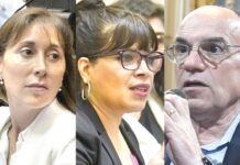 Cuántos empleados tiene cada senador fueguino