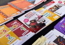 El Gobierno cerró el programa “Libros para aprender”