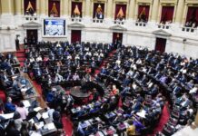 Dos diputados fueguinos votaron a favor de la Reforma Laboral y las privatizaciones