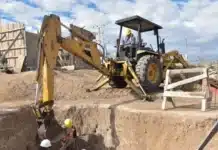 Encontraron restos de un Perezoso Terrestre Gigante en Mar del Plata