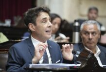 Stefani: “La ley bases le da una oportunidad a un montón de gente en lo laboral”