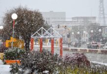 Cómo viene el clima para este fin de semana