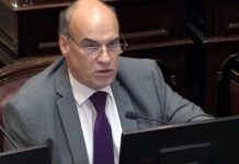 “No voy a delegar facultades al presidente”