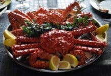 Gobierno busca promover el consumo de centolla en locales gastronómicos