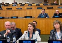 Mondino, de destacar la decisión de los habitantes de Malvinas a pedir por los derechos argentinos