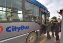 Conocé la APP del transporte público en Río Grande
