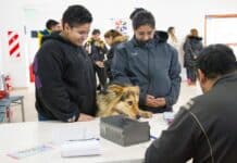 Tenencia responsable de mascotas: Aplicaron 250 vacunas antirrábicas y colocaron 100 microchips.