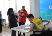 Este sábado se realiza una nueva jornada de castarción en Río Grande