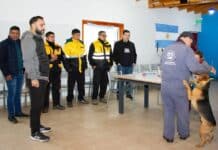 Nueva campaña de vacunación antirrábica y chipeo en Río Grande