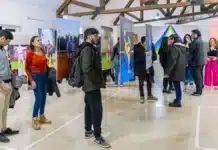 Museo Tomado: La convocatoria para artistas visuales