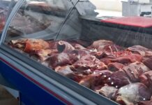 Recomiendan la adquisición de carnes y mariscos de comercios habilitados