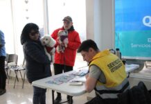 Este sábado habrá una nueva jornada mascotera