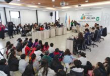 Ushuaia: Qué dijeron los concejales peronistas a favor y en contra del RIGI