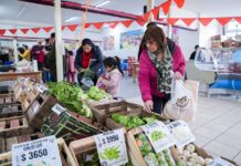 Este fin de semana habrá otra edición de Mercado en Tu Barrio