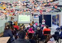 Llega el Festival de Aves 2024 a Río Grande